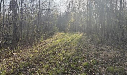 Photo #14 of 1500 Wiley Lewis, Greensboro, NC 188.8 acres