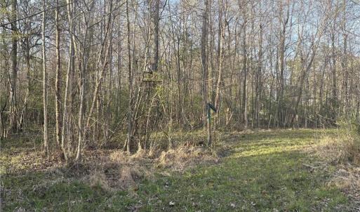 Photo #18 of 1500 Wiley Lewis, Greensboro, NC 188.8 acres