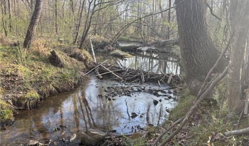 Photo #15 of 1500 Wiley Lewis, Greensboro, NC 188.8 acres
