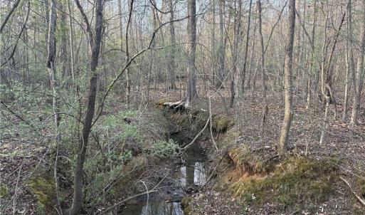 Photo #19 of 1500 Wiley Lewis, Greensboro, NC 188.8 acres