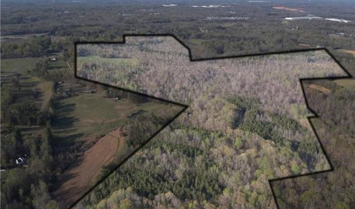 Photo #8 of 1500 Wiley Lewis, Greensboro, NC 188.8 acres
