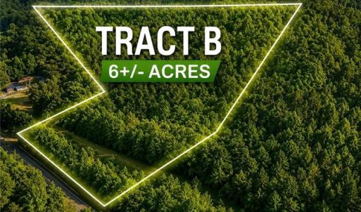 Photo #1 of TBD TRACT B Bellview, Robbins, NC 6.0 acres