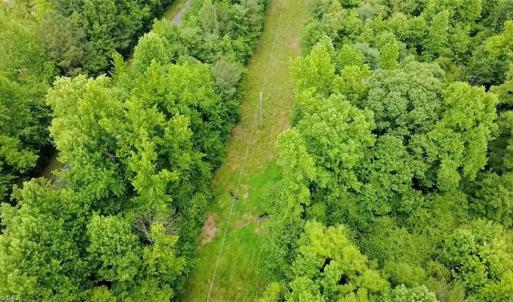Photo #5 of TBD TRACT B Bellview, Robbins, NC 6.0 acres