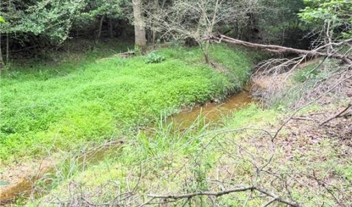 Photo #8 of TBD TRACT B Bellview, Robbins, NC 6.0 acres
