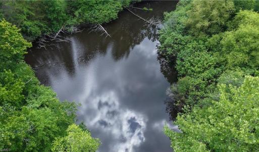 Photo #2 of 1 George Miles, Burlington, NC 34.4 acres