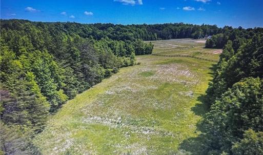 Photo #6 of 1 George Miles, Burlington, NC 34.4 acres
