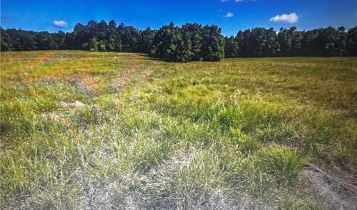 Photo #7 of 1 George Miles, Burlington, NC 34.4 acres