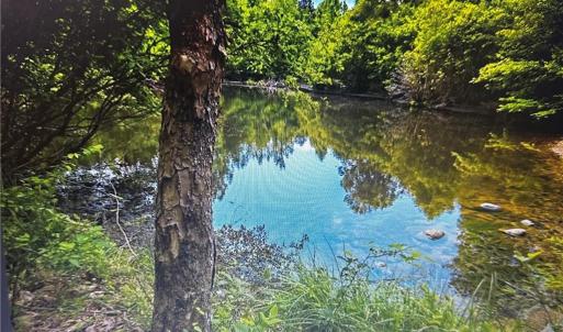 Photo #8 of 1 George Miles, Burlington, NC 34.4 acres