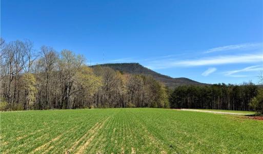 Photo #2 of 6 Old Mill, Pinnacle, NC 10.4 acres