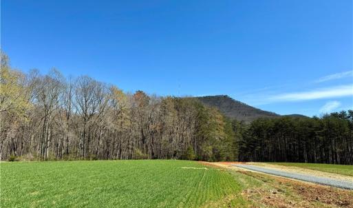 Photo #4 of 6 Old Mill, Pinnacle, NC 10.4 acres