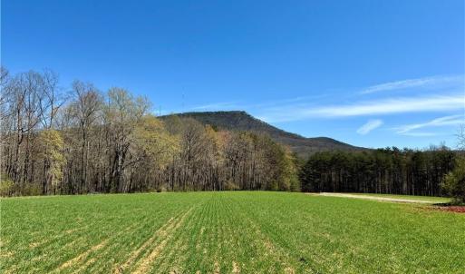 Photo #2 of 6 Old Mill, Pinnacle, NC 10.4 acres