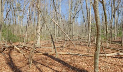 Photo #13 of 6 Old Mill, Pinnacle, NC 10.4 acres