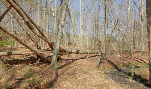 Photo #12 of 6 Old Mill, Pinnacle, NC 10.4 acres