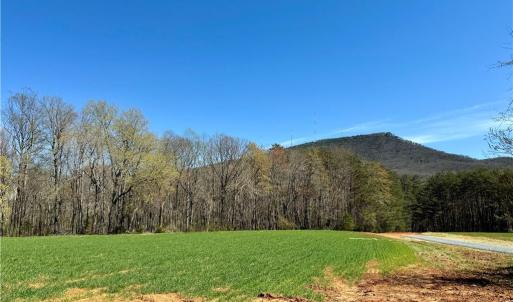 Photo #3 of 6 Old Mill, Pinnacle, NC 10.4 acres