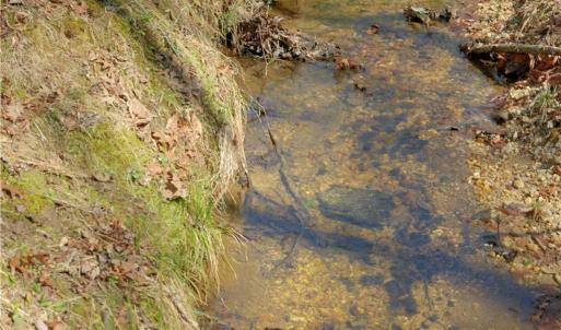 Photo #9 of 6 Old Mill, Pinnacle, NC 10.4 acres