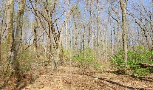 Photo #10 of 6 Old Mill, Pinnacle, NC 10.4 acres