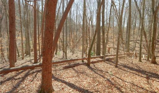 Photo #14 of 6 Old Mill, Pinnacle, NC 10.4 acres