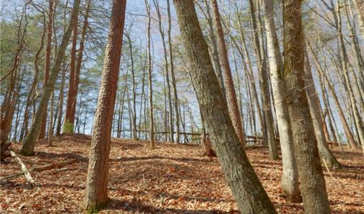 Photo #15 of 6 Old Mill, Pinnacle, NC 10.4 acres