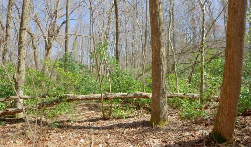 Photo #11 of 6 Old Mill, Pinnacle, NC 10.4 acres