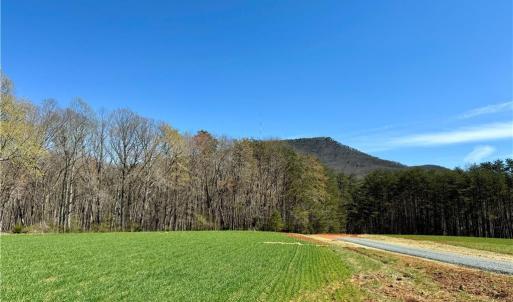 Photo #4 of 6 Old Mill, Pinnacle, NC 10.4 acres
