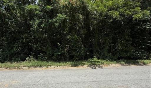 Photo #7 of 1007 Beaumont, Greensboro, NC 0.8 acres