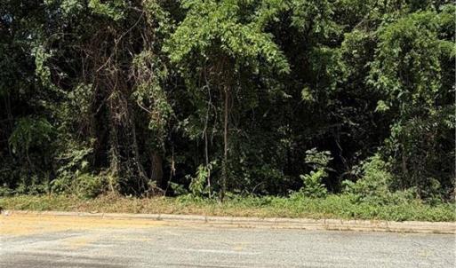 Photo #3 of 1007 Beaumont, Greensboro, NC 0.8 acres