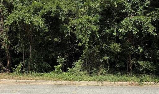 Photo #4 of 1007 Beaumont, Greensboro, NC 0.8 acres