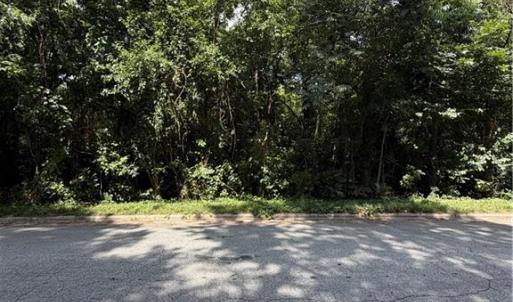 Photo #8 of 1007 Beaumont, Greensboro, NC 0.8 acres