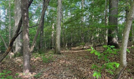 Photo #1 of Dover Church, Seagrove, NC 20.0 acres