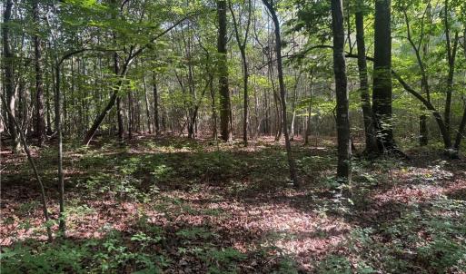 Photo #5 of Dover Church, Seagrove, NC 20.0 acres