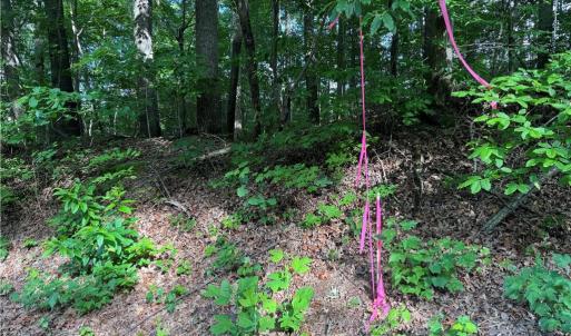 Photo #4 of Dover Church, Seagrove, NC 20.0 acres