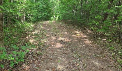 Photo #23 of xx 31.85 +-ac Hampton, Germanton, NC 31.9 acres