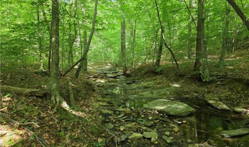Photo #27 of xx 31.85 +-ac Hampton, Germanton, NC 31.9 acres