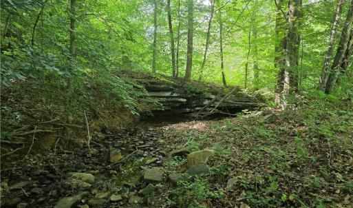 Photo #13 of xx 31.85 +-ac Hampton, Germanton, NC 31.9 acres