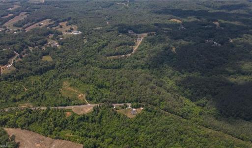 Photo #17 of xx 31.85 +-ac Hampton, Germanton, NC 31.9 acres
