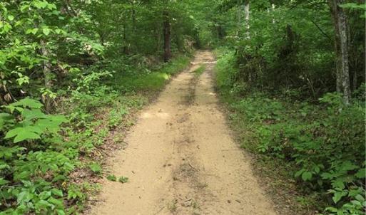 Photo #12 of xx 31.85 +-ac Hampton, Germanton, NC 31.9 acres