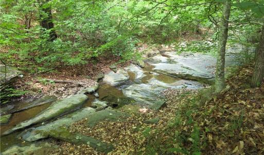 Photo #26 of xx 31.85 +-ac Hampton, Germanton, NC 31.9 acres