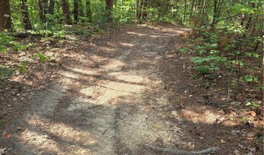 Photo #22 of xx 31.85 +-ac Hampton, Germanton, NC 31.9 acres