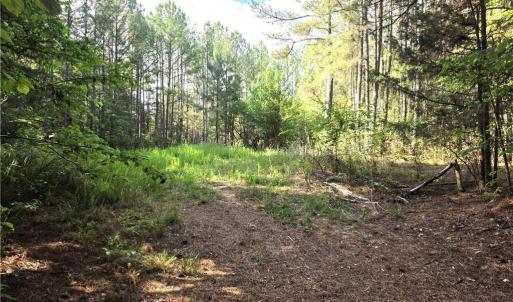 Photo #7 of xx 31.85 +-ac Hampton, Germanton, NC 31.9 acres