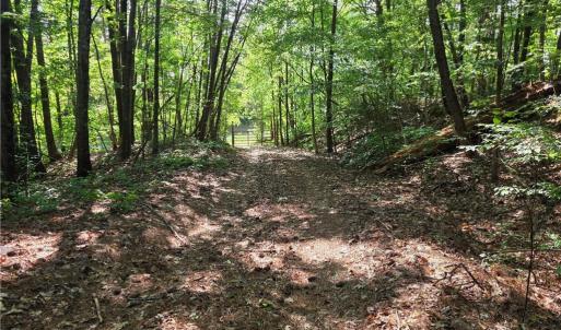 Photo #32 of xx 31.85 +-ac Hampton, Germanton, NC 31.9 acres