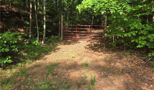 Photo #1 of xx 31.85 +-ac Hampton, Germanton, NC 31.9 acres