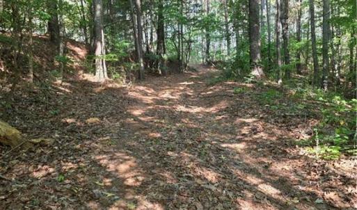 Photo #5 of xx 31.85 +-ac Hampton, Germanton, NC 31.9 acres