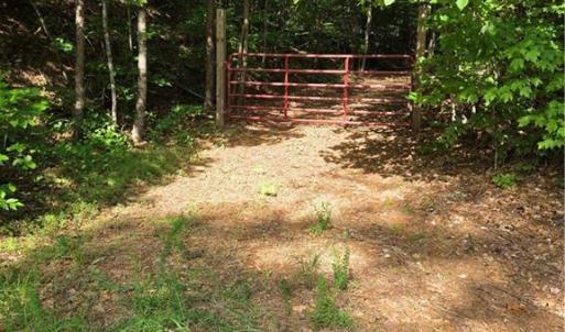 Photo #20 of xx 31.85 +-ac Hampton, Germanton, NC 31.9 acres