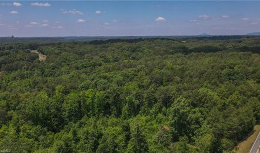 Photo #9 of xx 31.85 +-ac Hampton, Germanton, NC 31.9 acres
