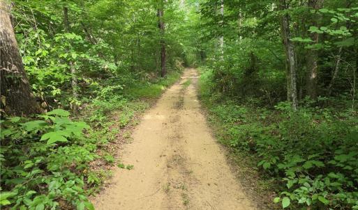 Photo #24 of xx 31.85 +-ac Hampton, Germanton, NC 31.9 acres