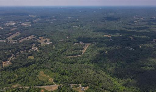 Photo #30 of xx 31.85 +-ac Hampton, Germanton, NC 31.9 acres