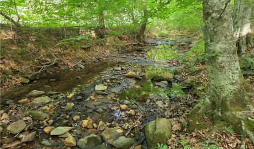Photo #10 of xx 31.85 +-ac Hampton, Germanton, NC 31.9 acres