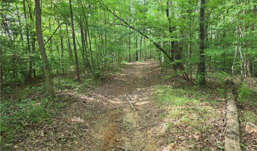 Photo #11 of xx 31.85 +-ac Hampton, Germanton, NC 31.9 acres