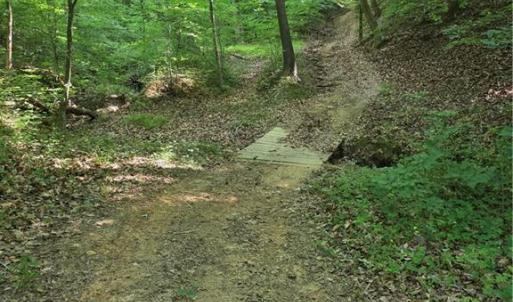 Photo #31 of xx 31.85 +-ac Hampton, Germanton, NC 31.9 acres