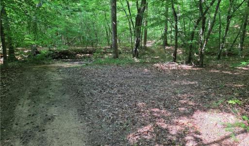 Photo #29 of xx 31.85 +-ac Hampton, Germanton, NC 31.9 acres